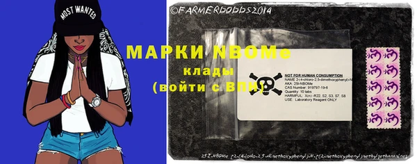 индика Нижневартовск